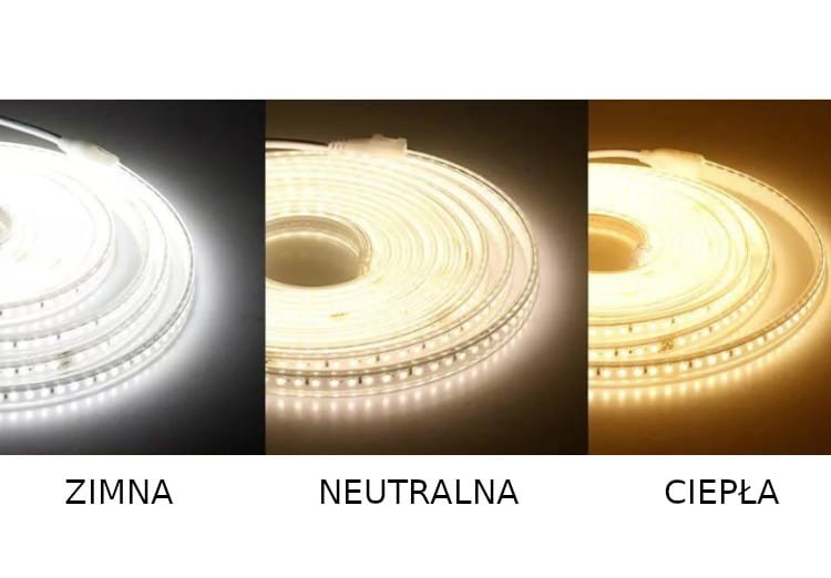 Taśma LED nutralna